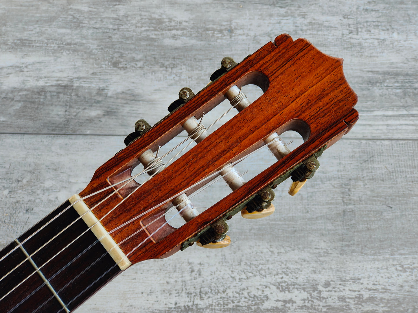 Cachimba Japan Classical Nylon String Acoustic Guitar (Sydney Classical Guitar Centre)