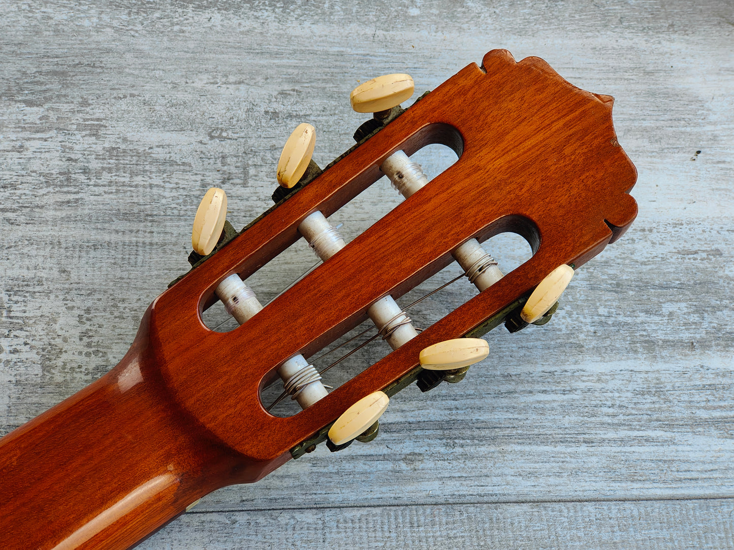 Cachimba Japan Classical Nylon String Acoustic Guitar (Sydney Classical Guitar Centre)