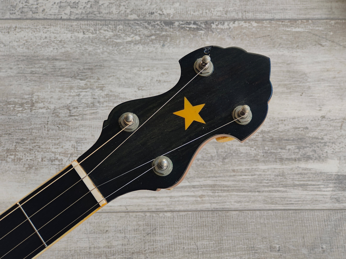 1920 Vega "Whyte Laydie" Open Back 5-String Banjo