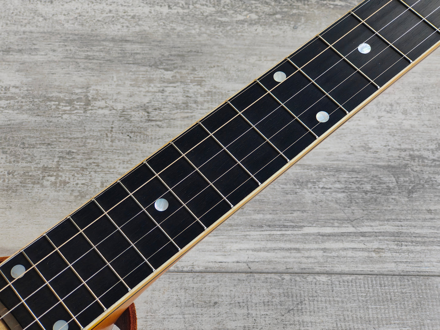 1920 Vega "Whyte Laydie" Open Back 5-String Banjo