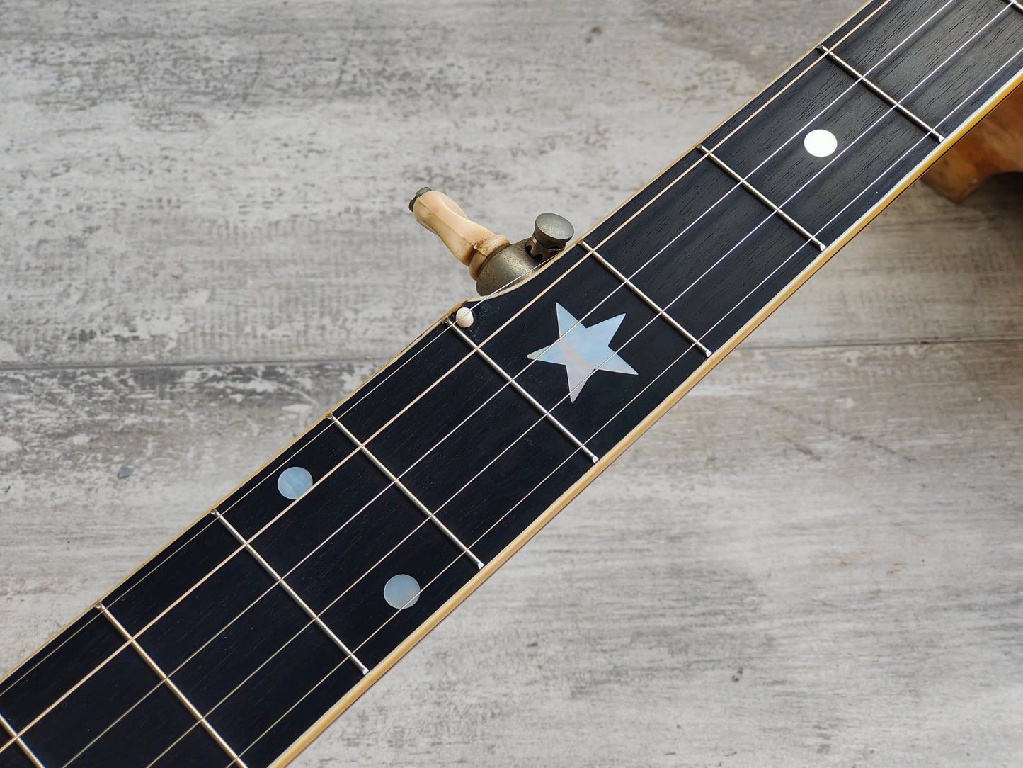 1920 Vega "Whyte Laydie" Open Back 5-String Banjo