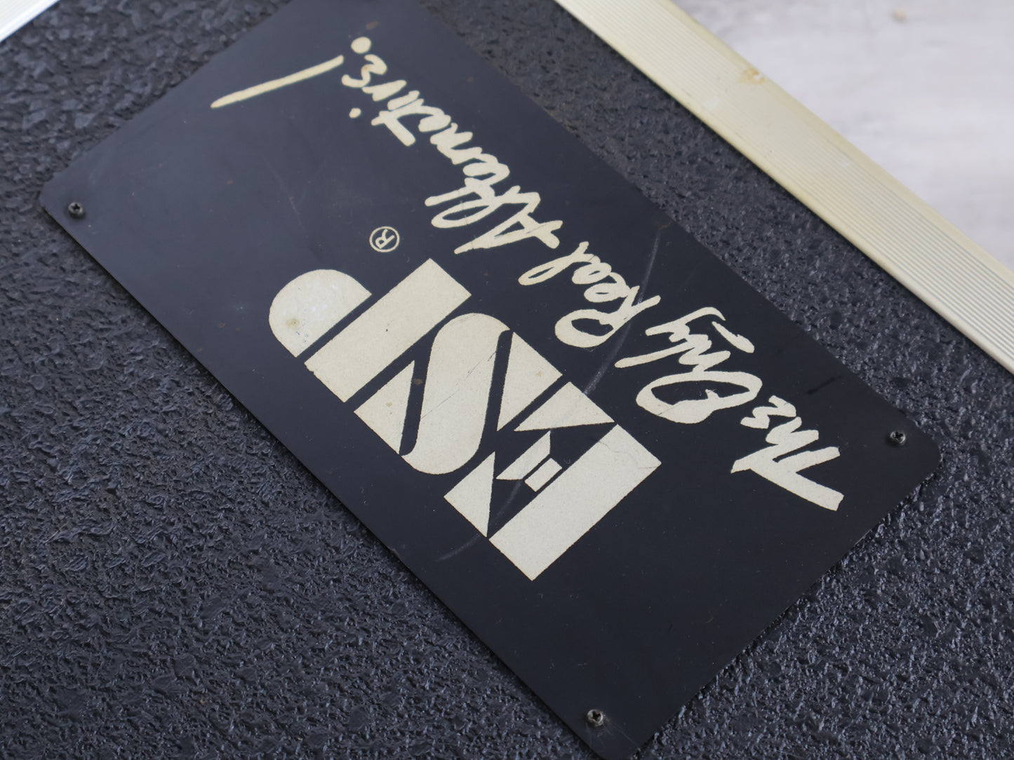 ESP Japan Custom Order Les Paul Bass w/Bartolini's (Purple Burst)