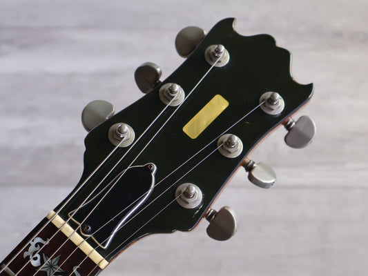 1970's ESP Japan Torrocco Semi Hollowbody (Mahogany)