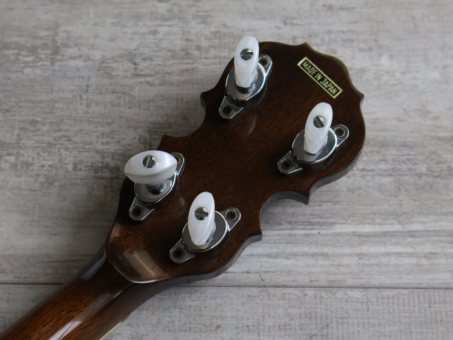 1980's Payton Japan 5-String Banjo