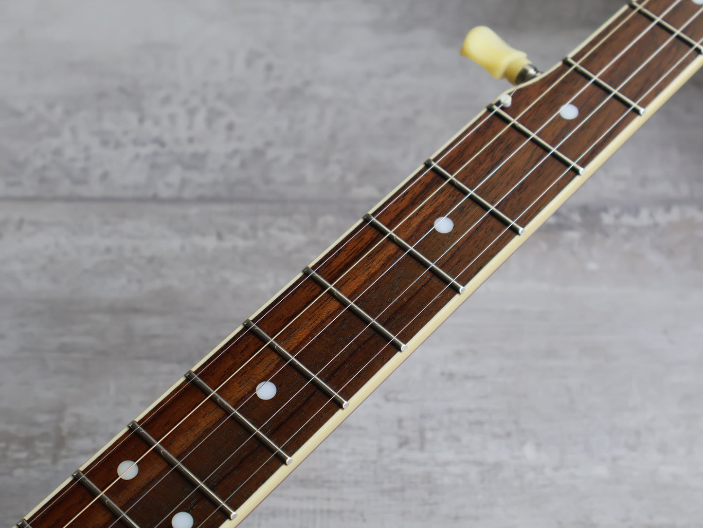 Barnes & Mullins 'Perfect' 5-String Banjo