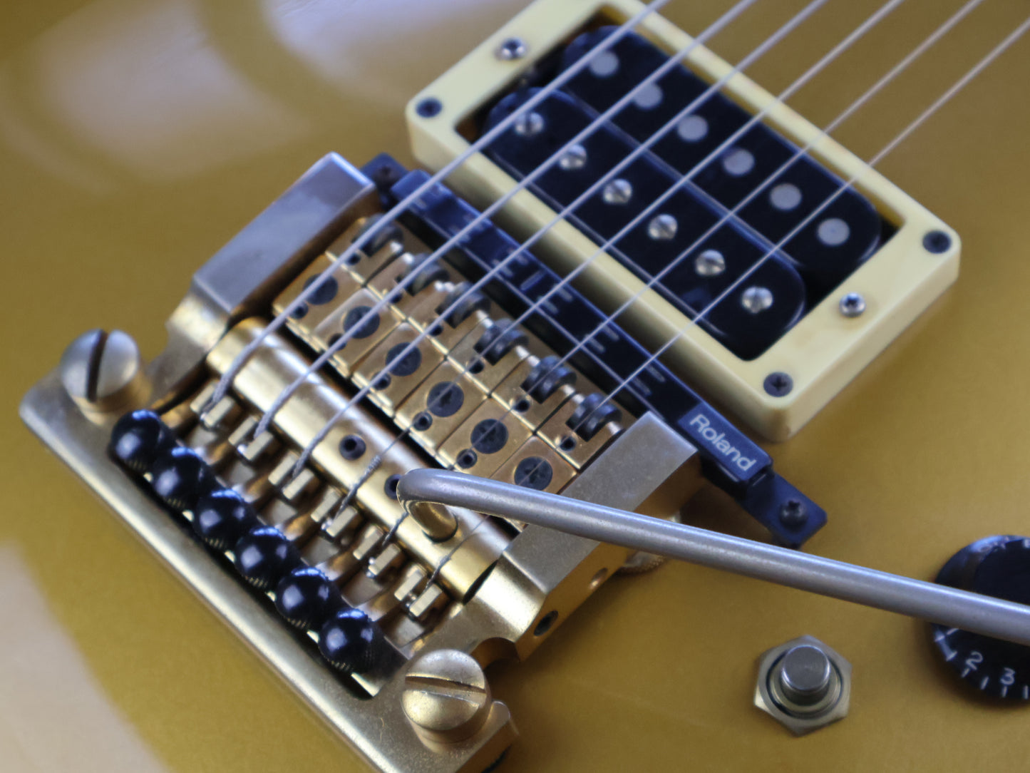 2004 Fernandes Robert Fripp Signature Model Goldtop Les Paul w/Kahler & Sustainer