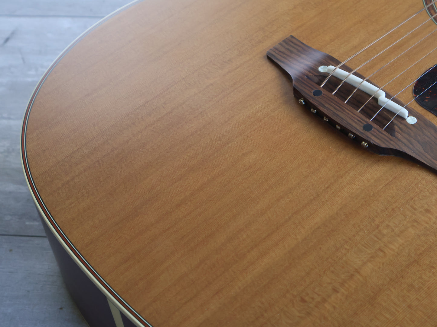 Takamine P3MC Pro-Series Acoustic Electric Guitar