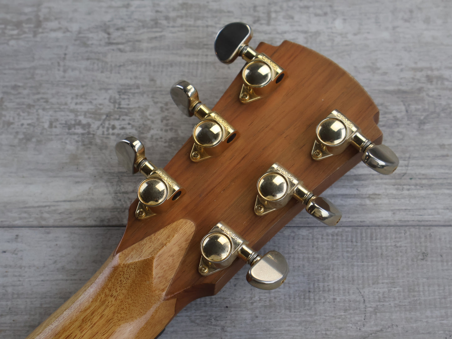 2016 Cole Clark AN2EC-RDBL Acoustic/Electric