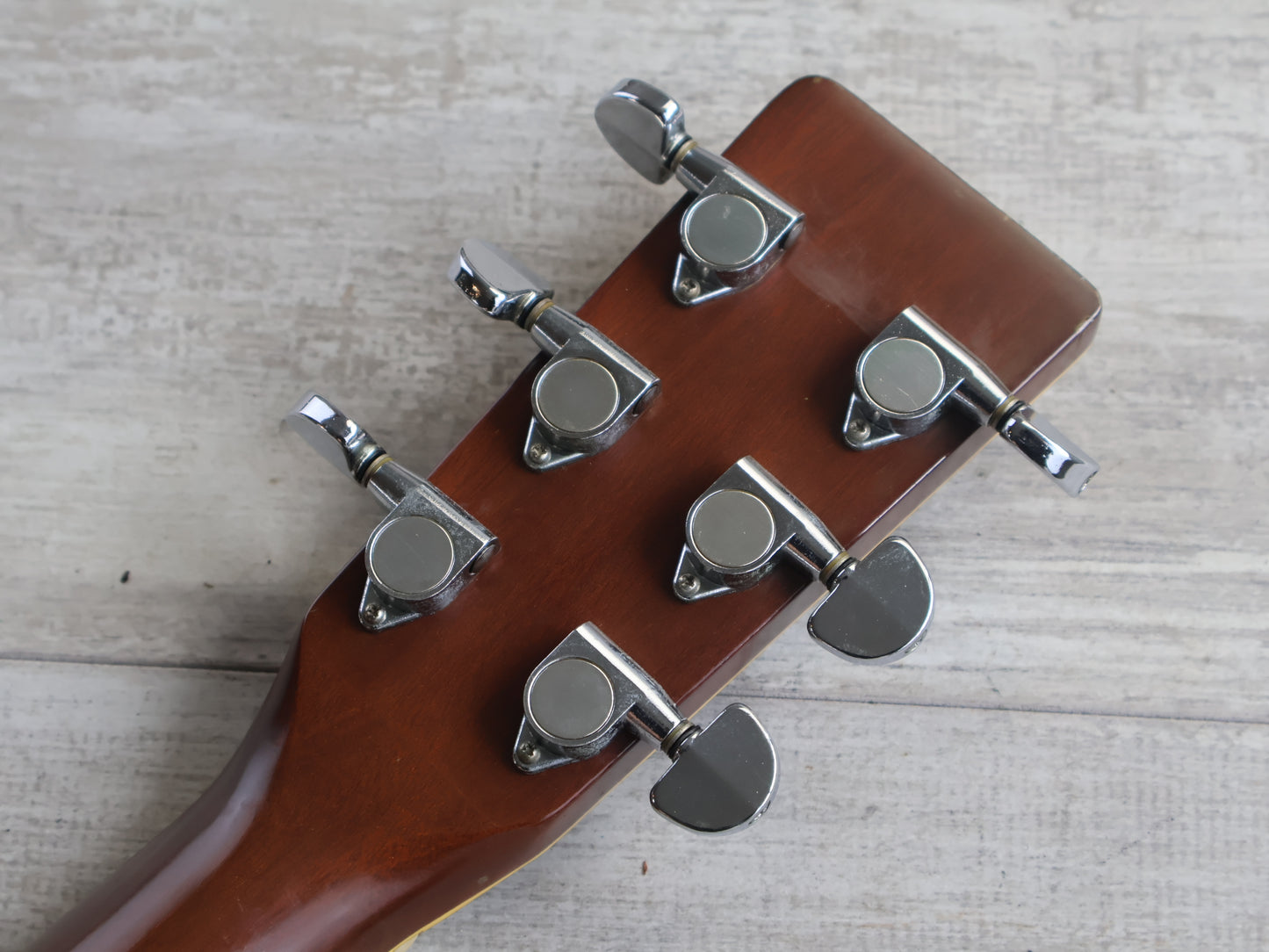 1980's Tokai Cat's Eyes CE-350ST Japanese Acoustic Guitar (Sunburst)