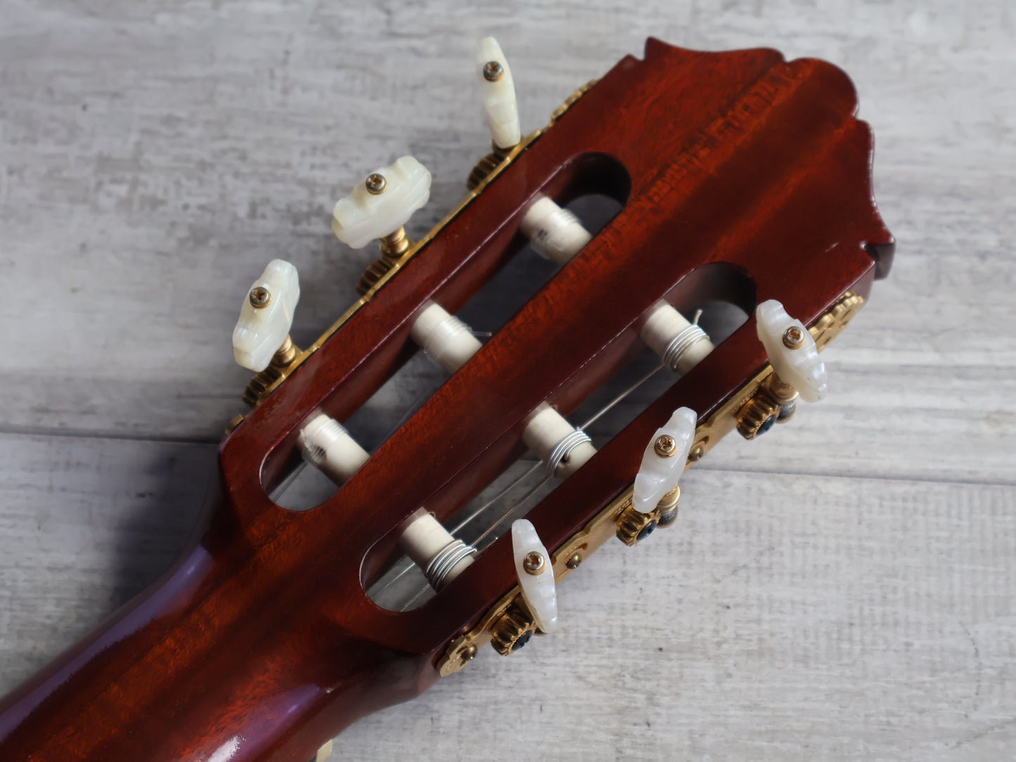 1981 Yamaha Japan GC-5 Grand Concert Classical