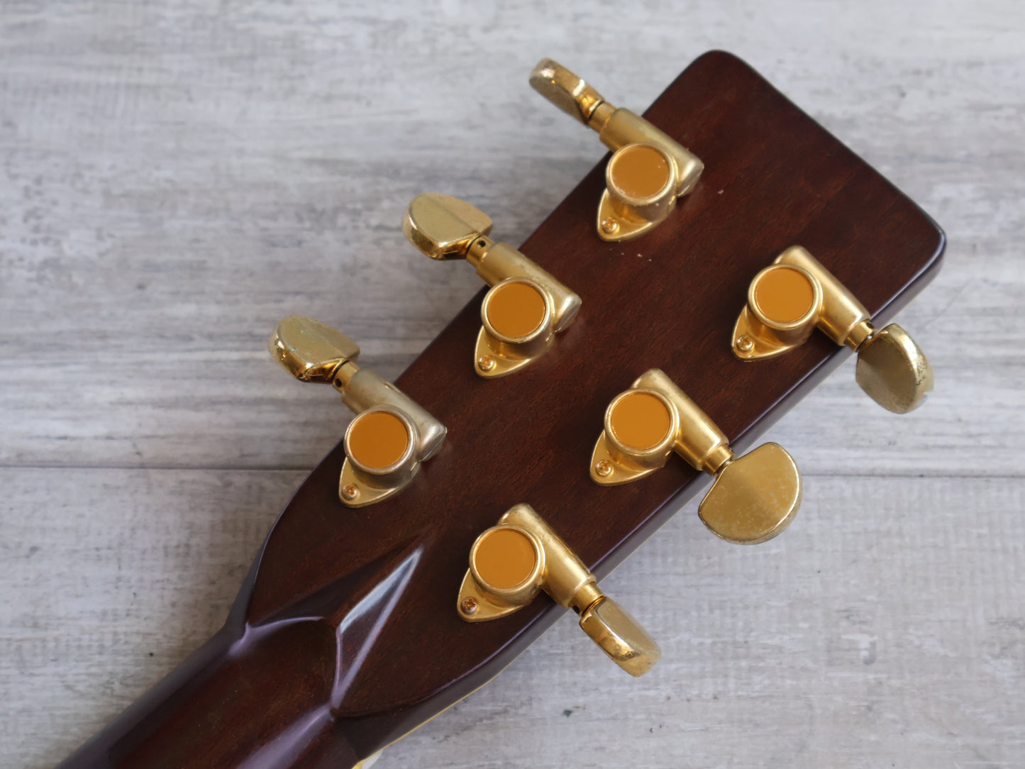 1980 Tokai Cat's Eyes CE-500 Vintage Acoustic Dreadnought (Natural)