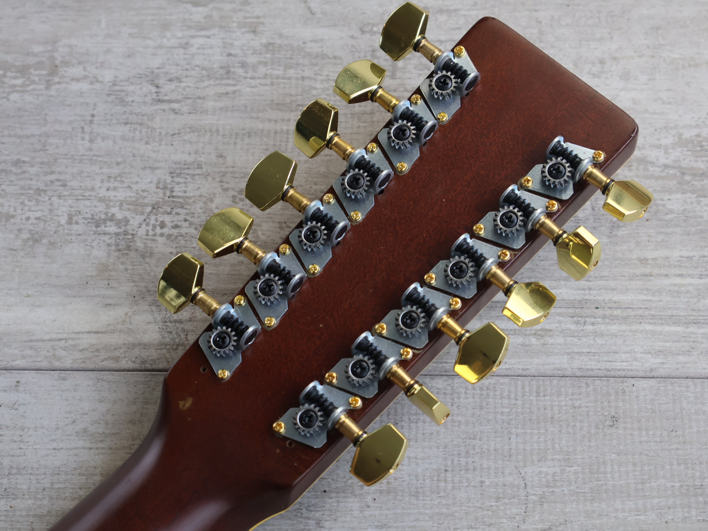 1981 Tokai Cat's Eyes Japan CE-1200TW 12-String Acoustic