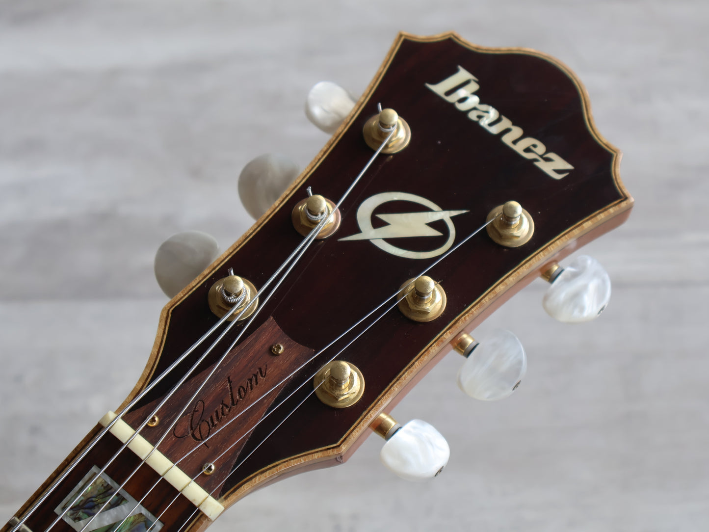 2006 Ibanez Limited Edition AF105SM Artcore Series Hollowbody (Antique Brown)