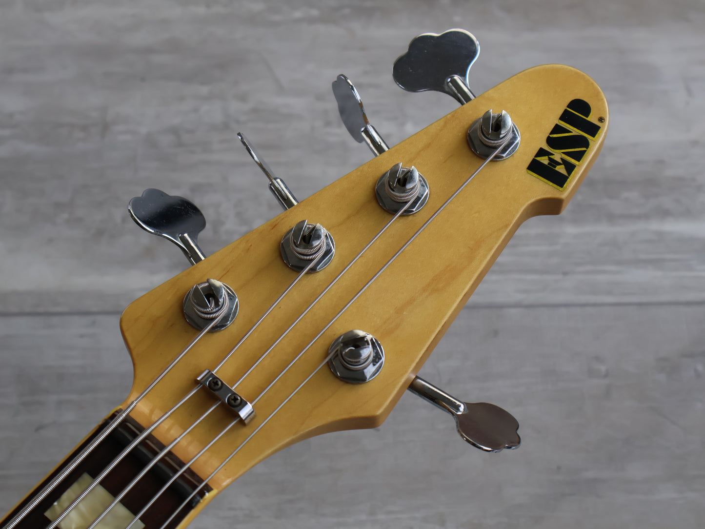 2000's ESP Japan Custom Shop Surveyor 5-String Bass (Sunburst)
