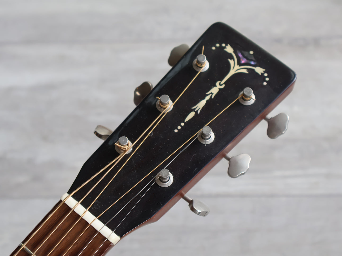 2000 Tokai Cat's Eyes CE55T OM Acoustic
