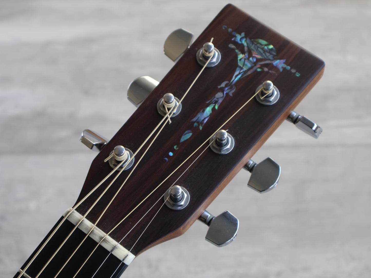 Sigma GTCE+ SE Series Acoustic Electric Guitar w/Pickup