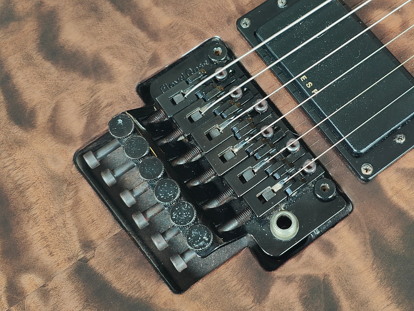 2000's Edwards (by ESP) E-P-98a Pierrot Artist Model F Series (Brown)