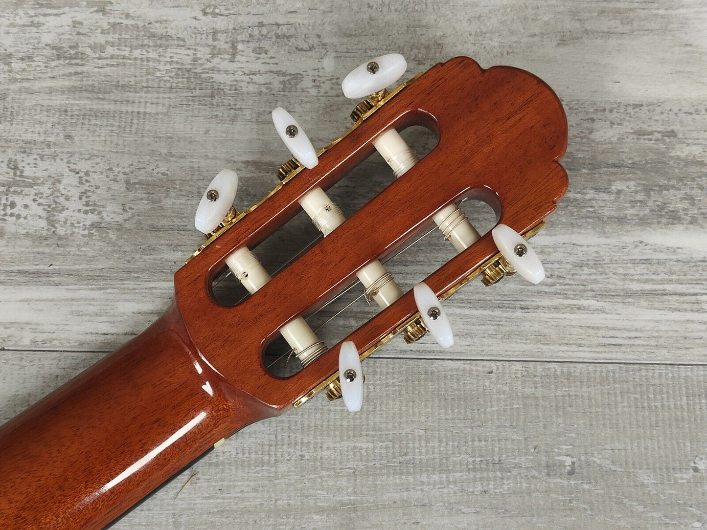 2012 Aria A-100C Guitar (Solid Cedar/Rosewood)