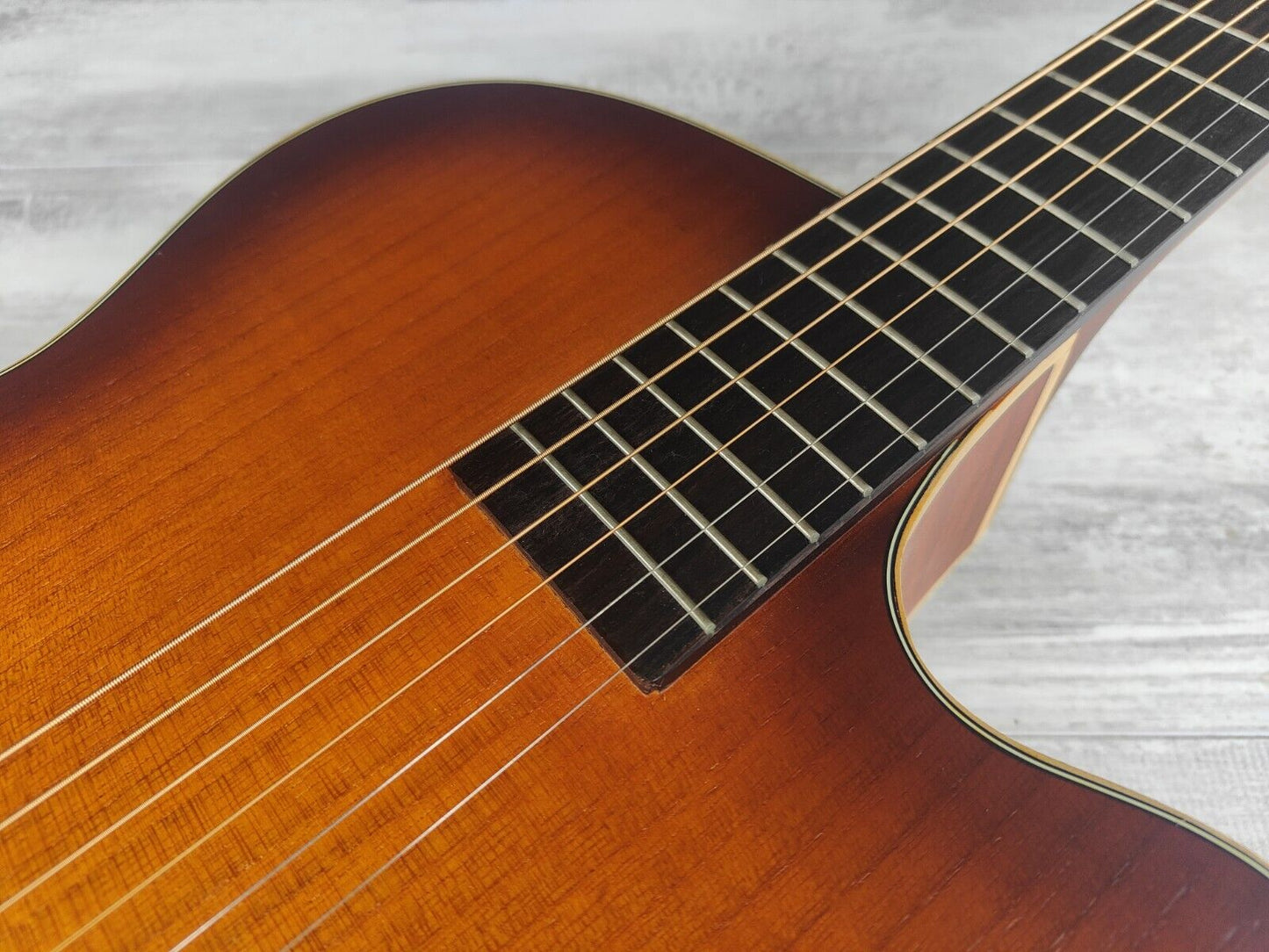 2018 Aria FET-F1 Electric/Acoustic Guitar (Violin Burst)