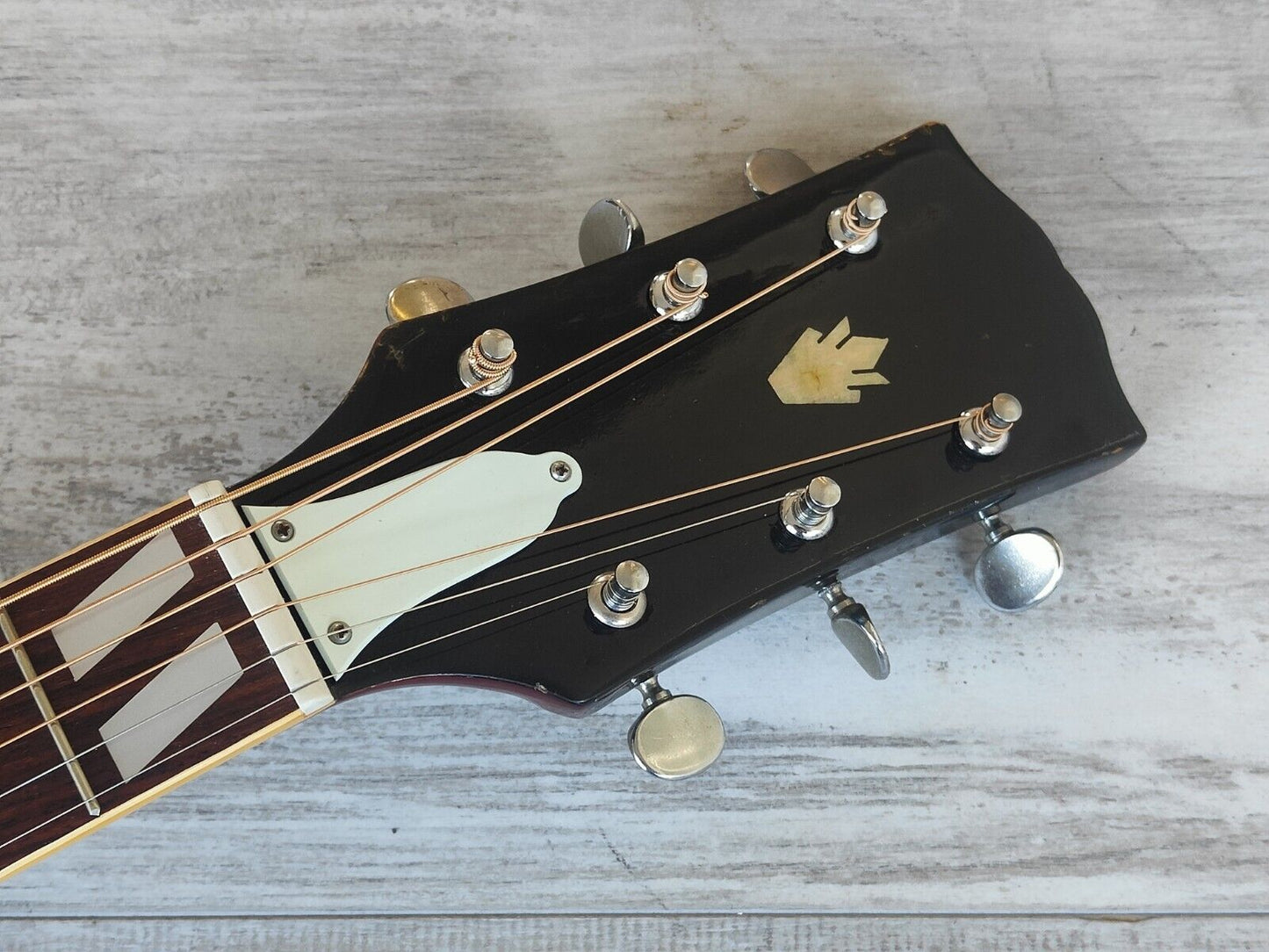 1970's Tomson TGF-351 Dove Japanese Vintage Acoustic Guitar (Natural)