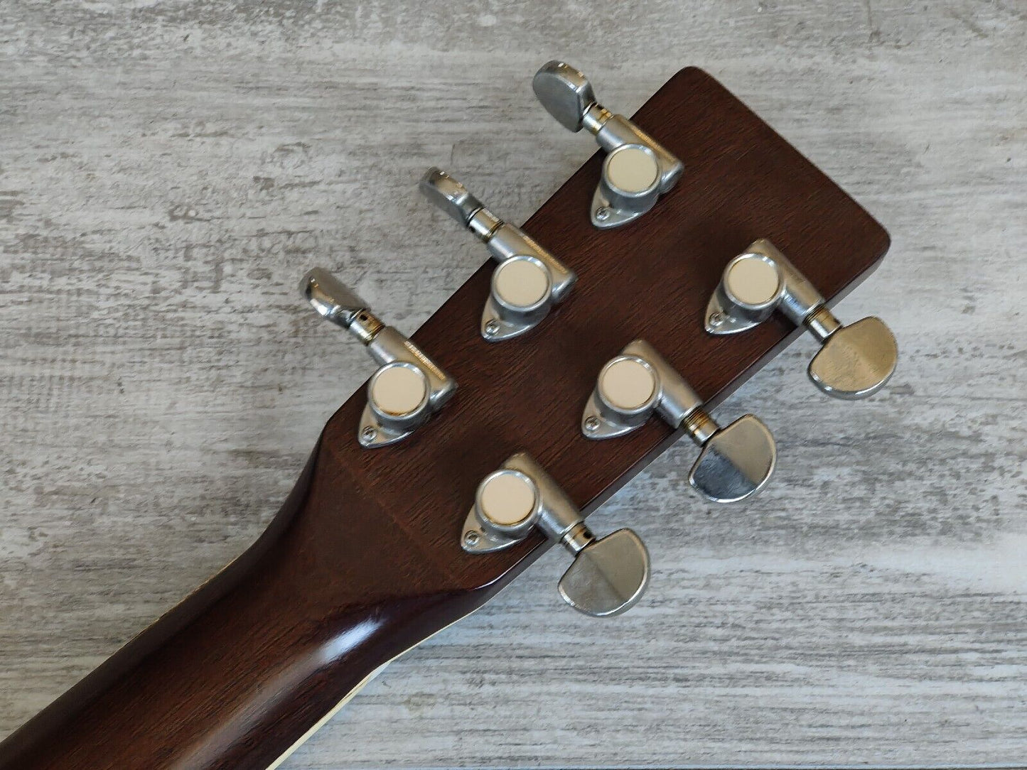 1980's Tokai Cat's Eyes CE-350 Japanese Vintage Acoustic Guitar (Sunburst)