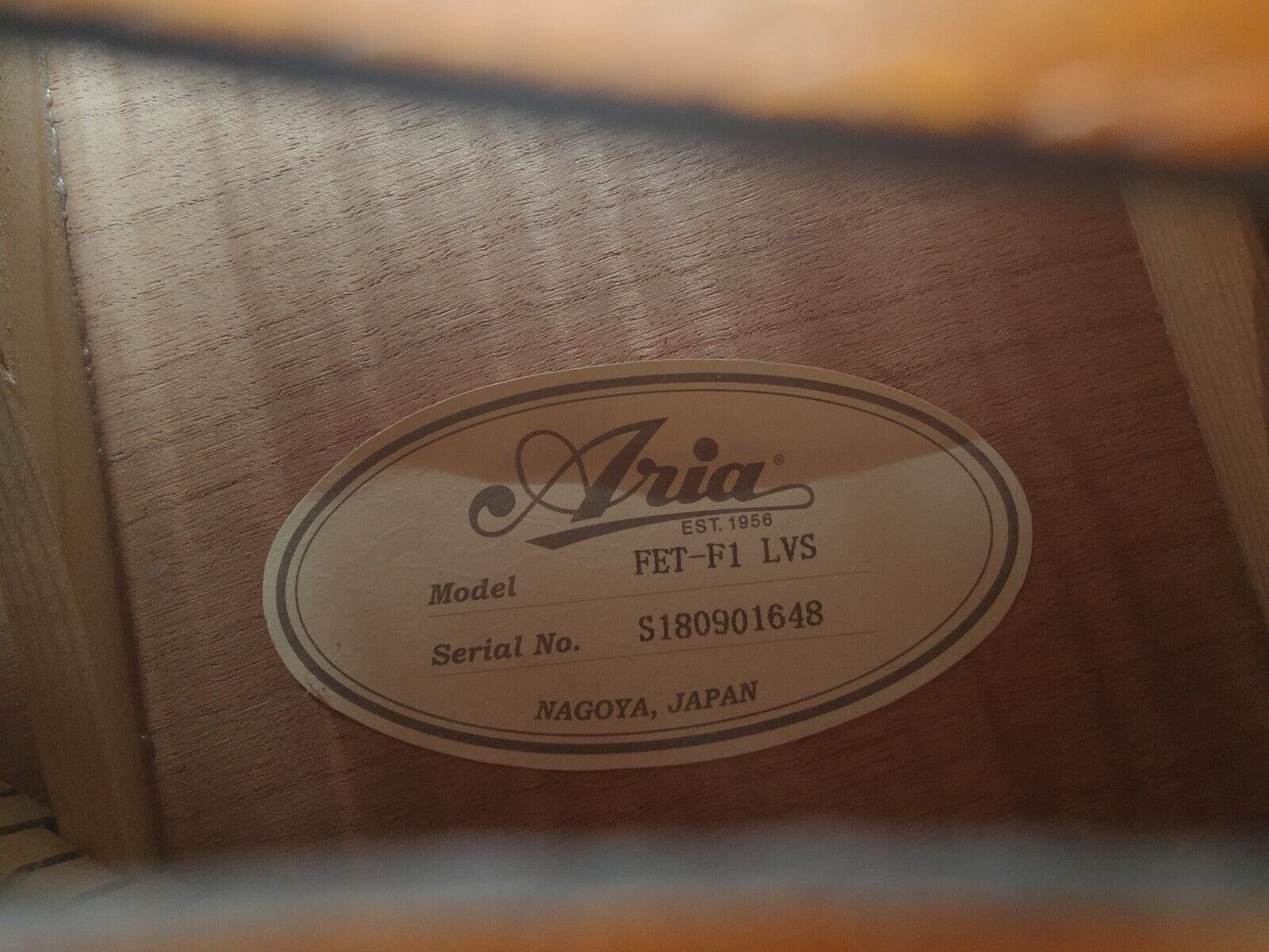 2018 Aria FET-F1 Electric/Acoustic Guitar (Violin Burst)