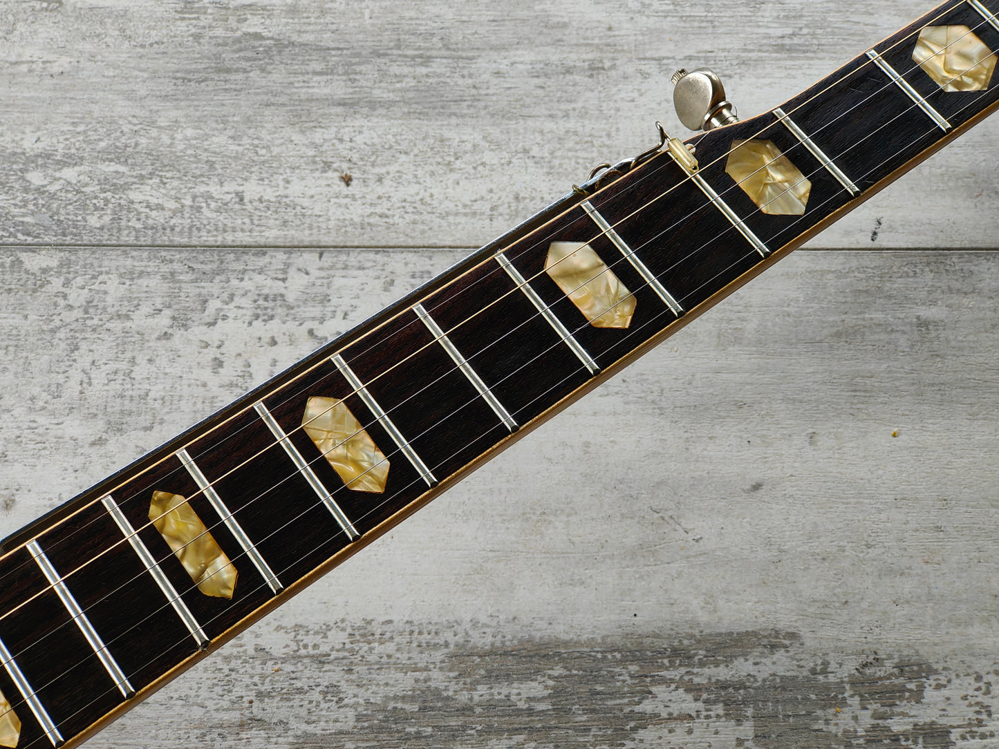 1980's Tokai T-600R "Masterclone" 5-String Resonator Banjo