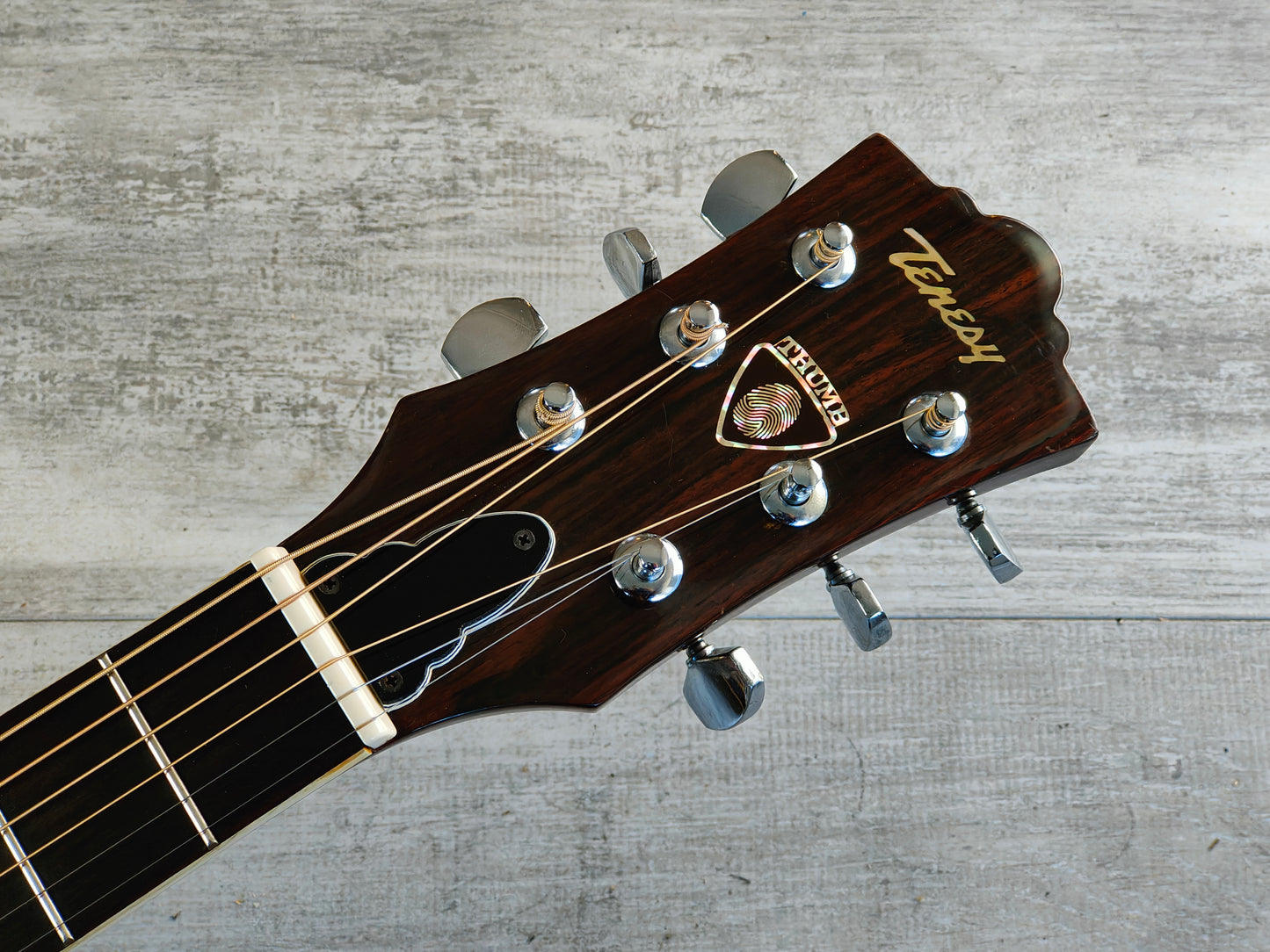 1970's Tenesy Japan "Thumb" 6-String Banjo