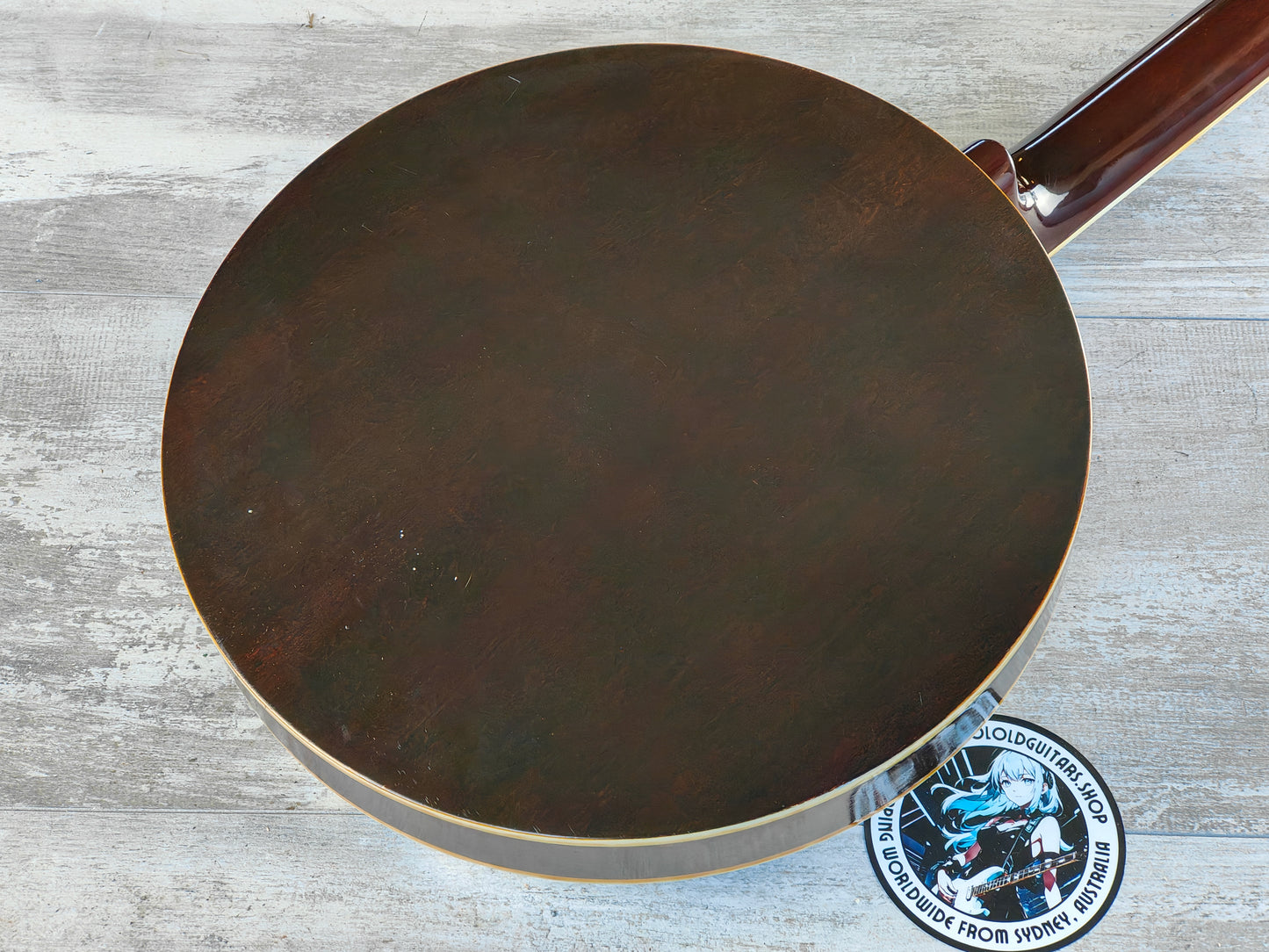 1970's Tenesy Japan "Thumb" 6-String Banjo