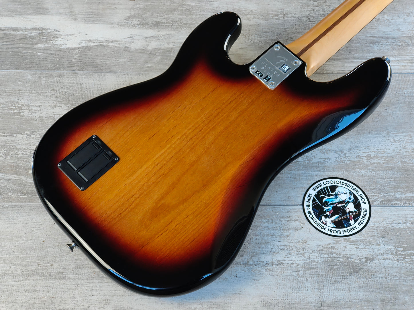 2021 Fender Player Plus Precision Bass - Pau Ferro Fingerboard (3-Color Sunburst)