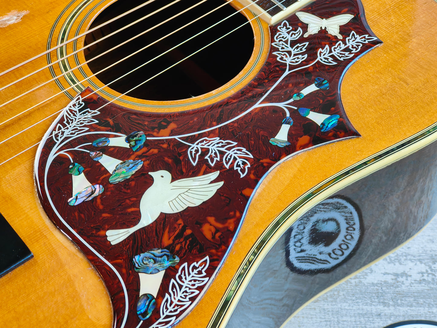 1980's Morris W-60 Japanese Vintage Acoustic Dreadnought "Hummingbird" (Natural)