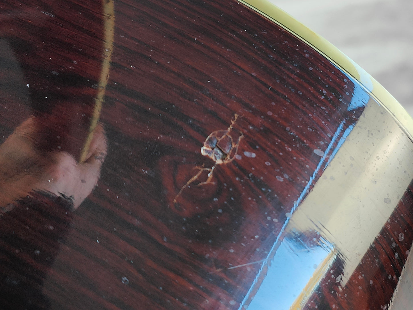 1980's Morris W-60 Japanese Vintage Acoustic Dreadnought "Hummingbird" (Natural)