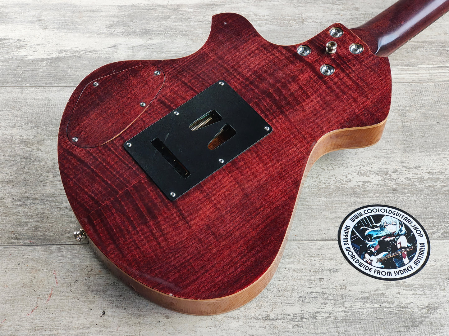 Paul Eliasson "The Raven #44" Handmade Custom Guitar (Made in the USA)