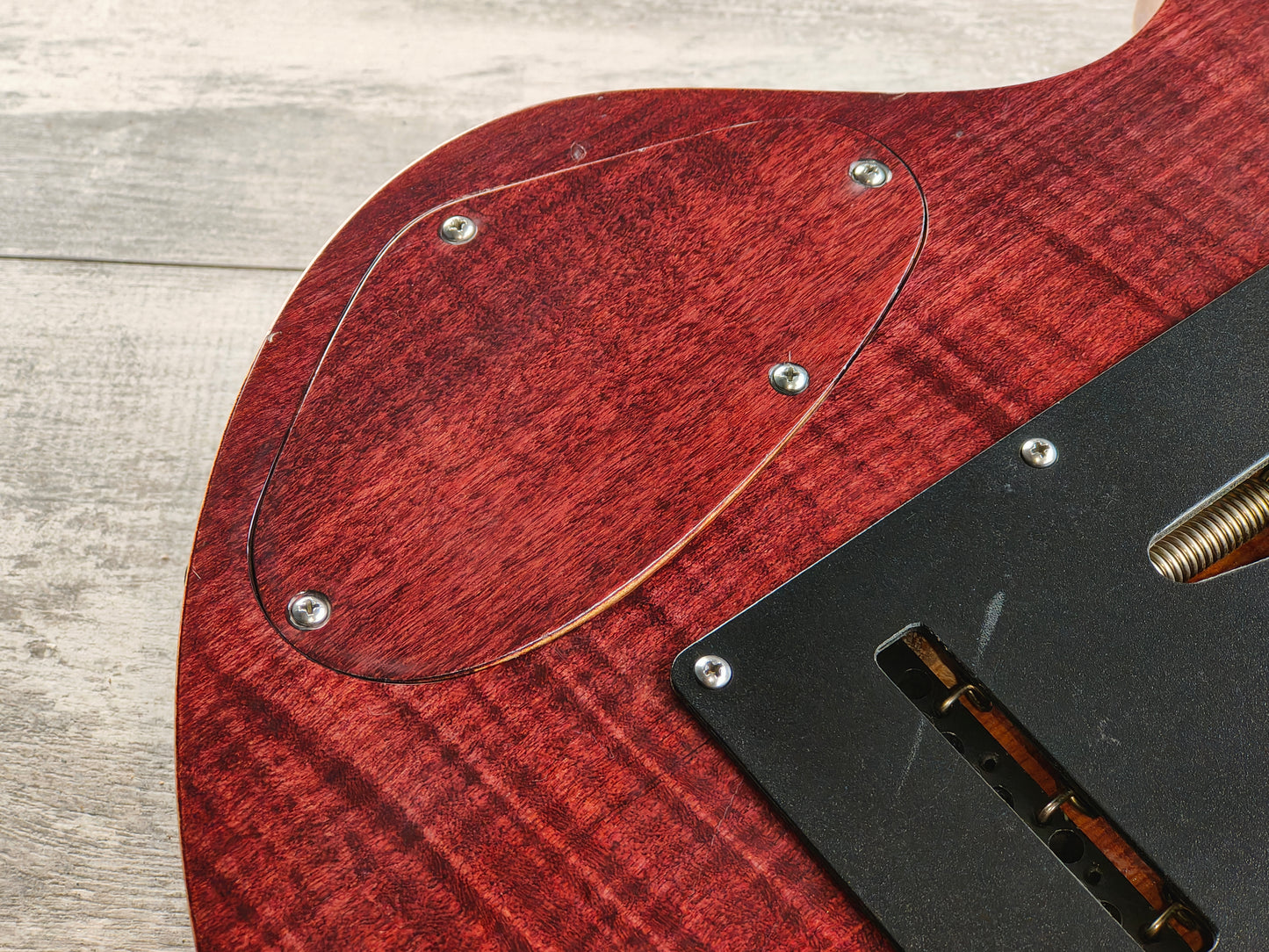 Paul Eliasson "The Raven #44" Handmade Custom Guitar (Made in the USA)