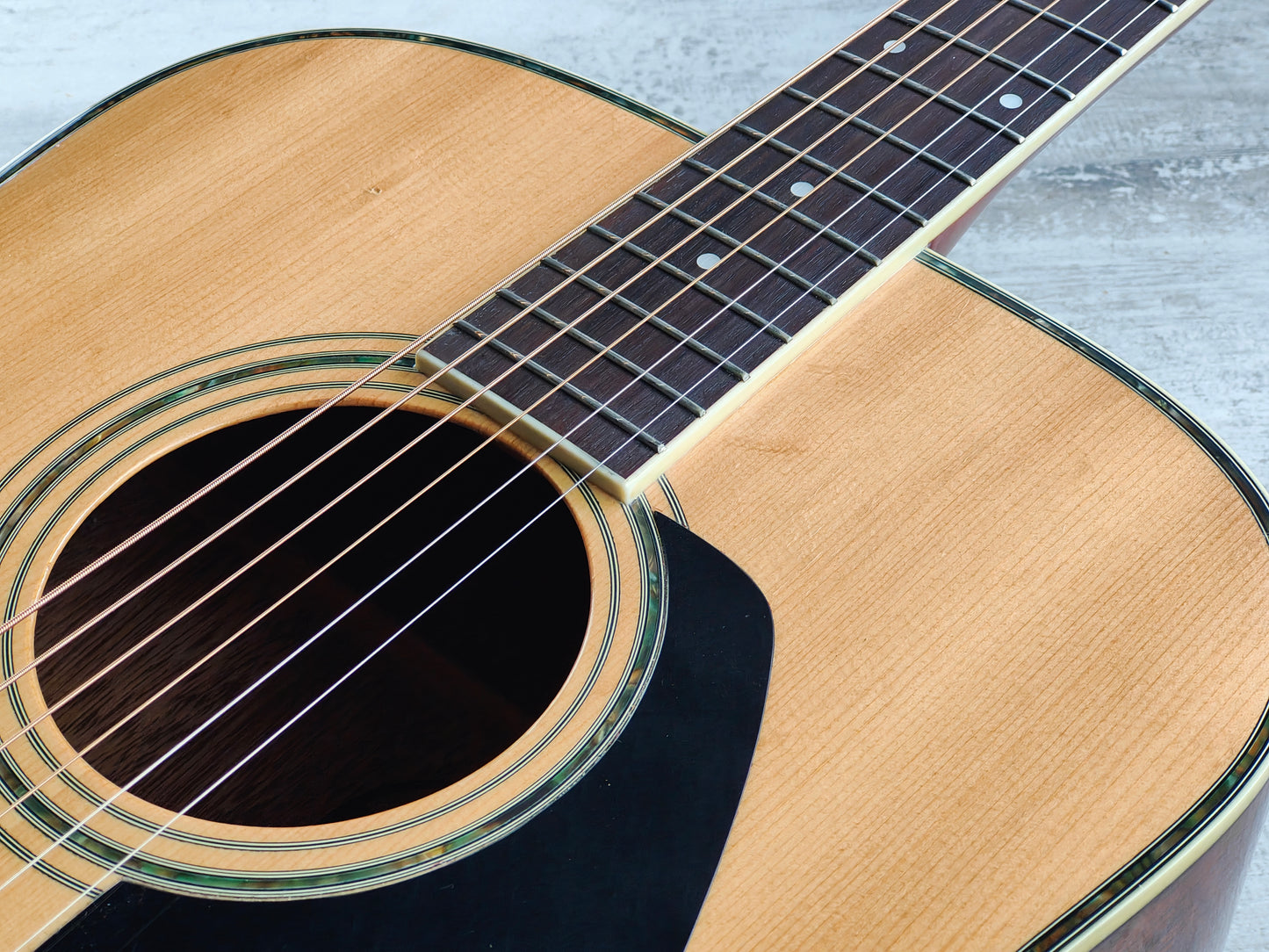 1980's Morris MD-520 Dreadnought Acoustic (Made in Japan)