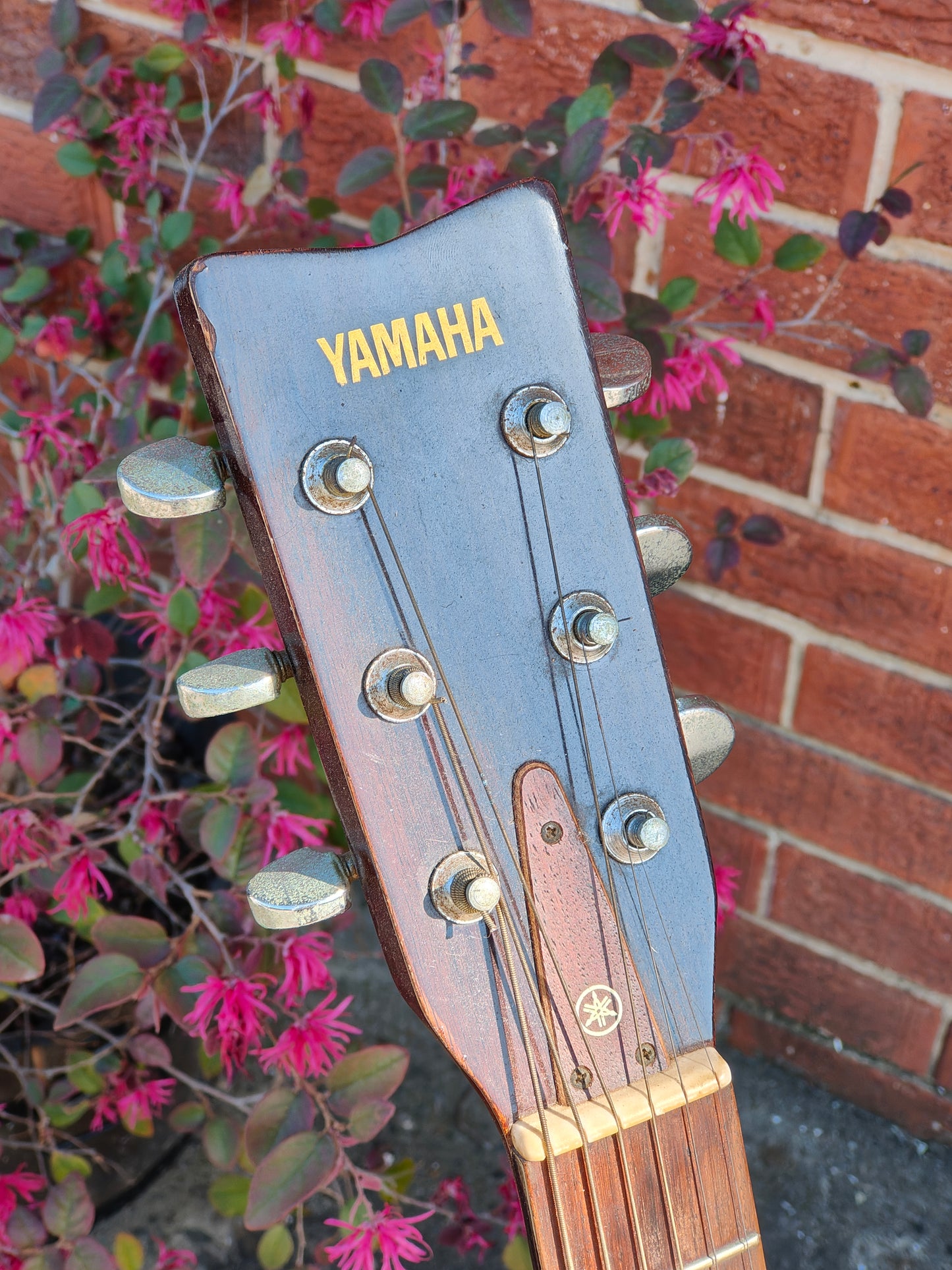 Vintage Yamaha Japan FG-151 Dreadnought Acoustic Guitar - Thrift Shop