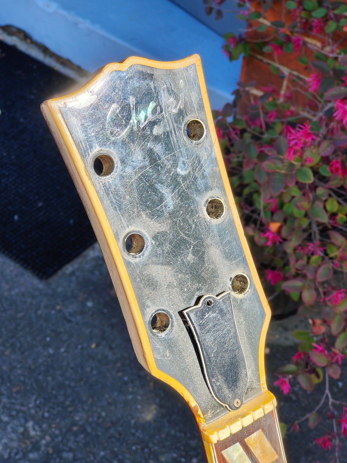 Vintage Chaki Japan W-3 Dreadnought Acoustic Guitar - Thrift Shop