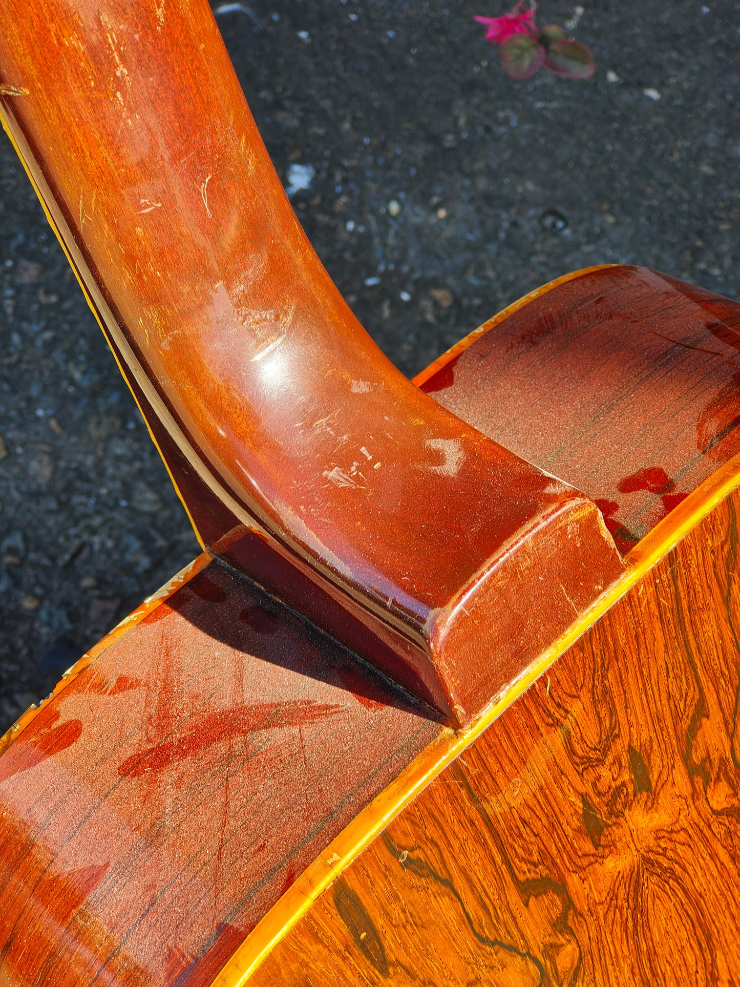 Vintage Chaki Japan W-3 Dreadnought Acoustic Guitar - Thrift Shop