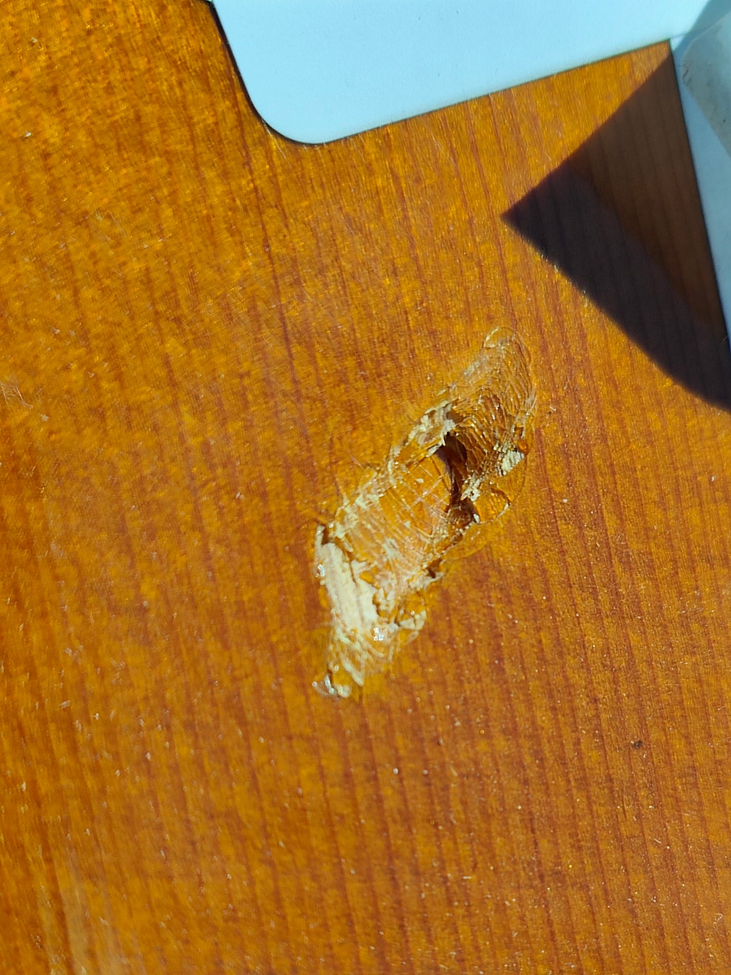 Vintage Burns Japan No.80 Classical Acoustic Guitar - Thrift Shop