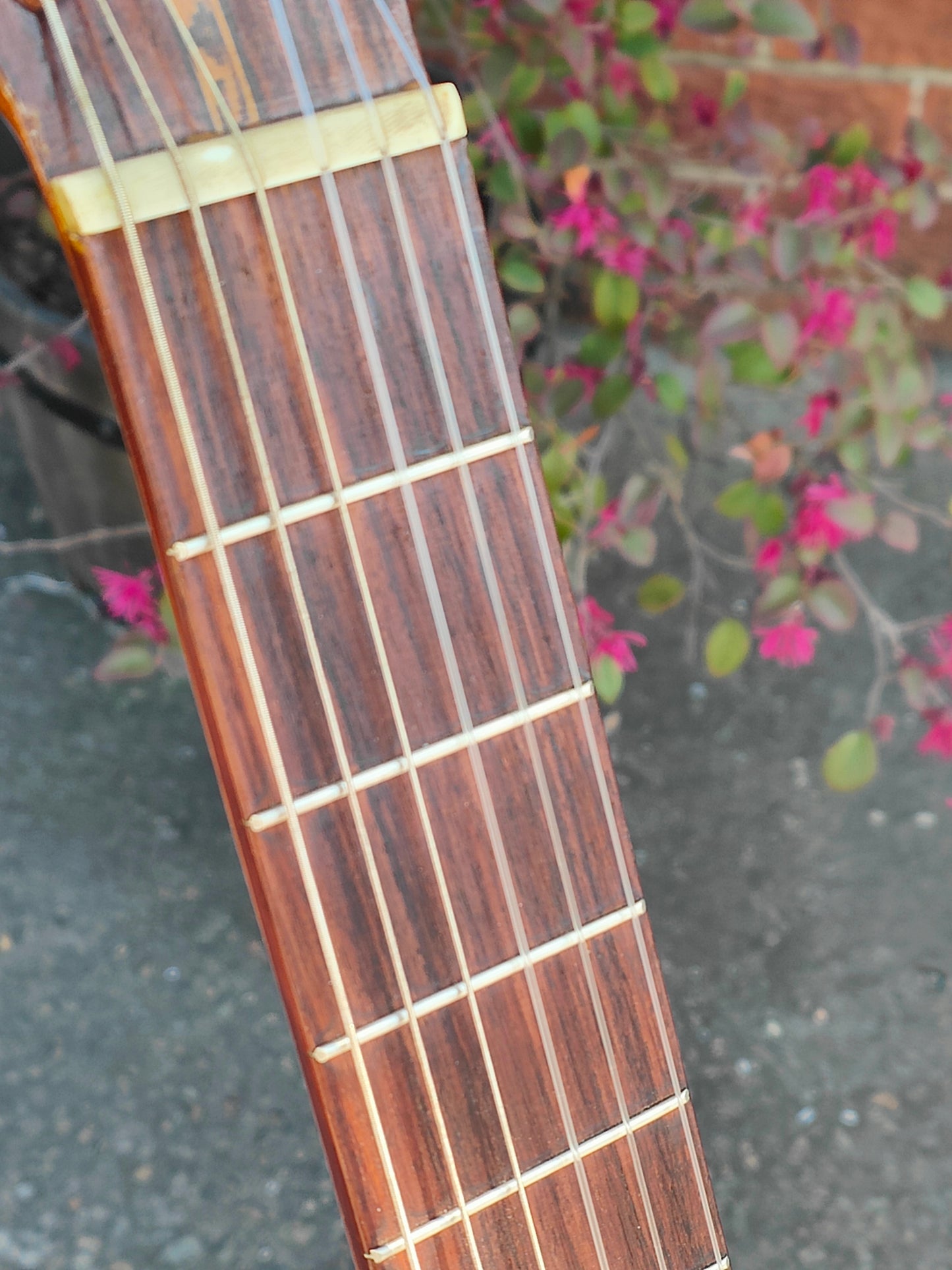 Vintage Burns Japan No.80 Classical Acoustic Guitar - Thrift Shop