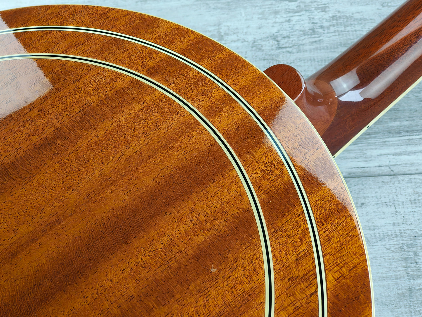 1987 Tokai T-1500RW "Masterclone" 5-String Resonator Banjo