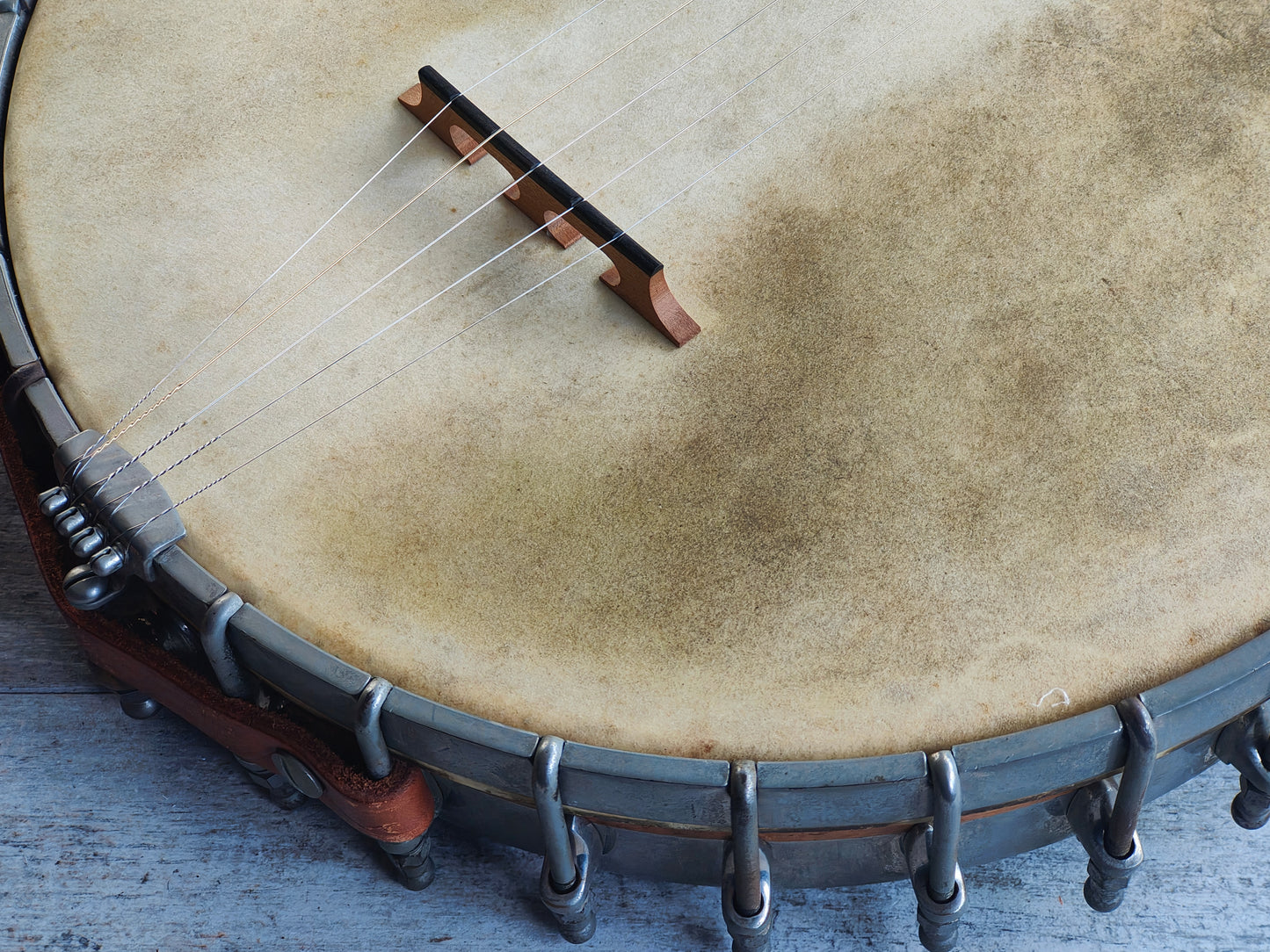 1920 Vega "Whyte Laydie" Open Back 5-String Banjo