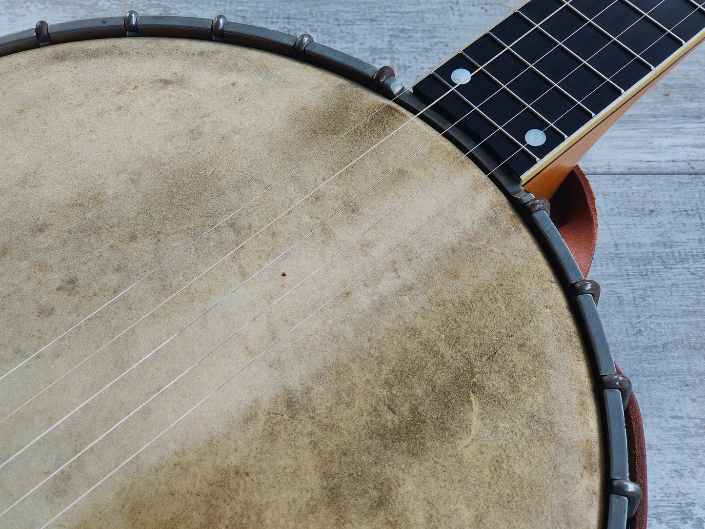 1920 Vega "Whyte Laydie" Open Back 5-String Banjo
