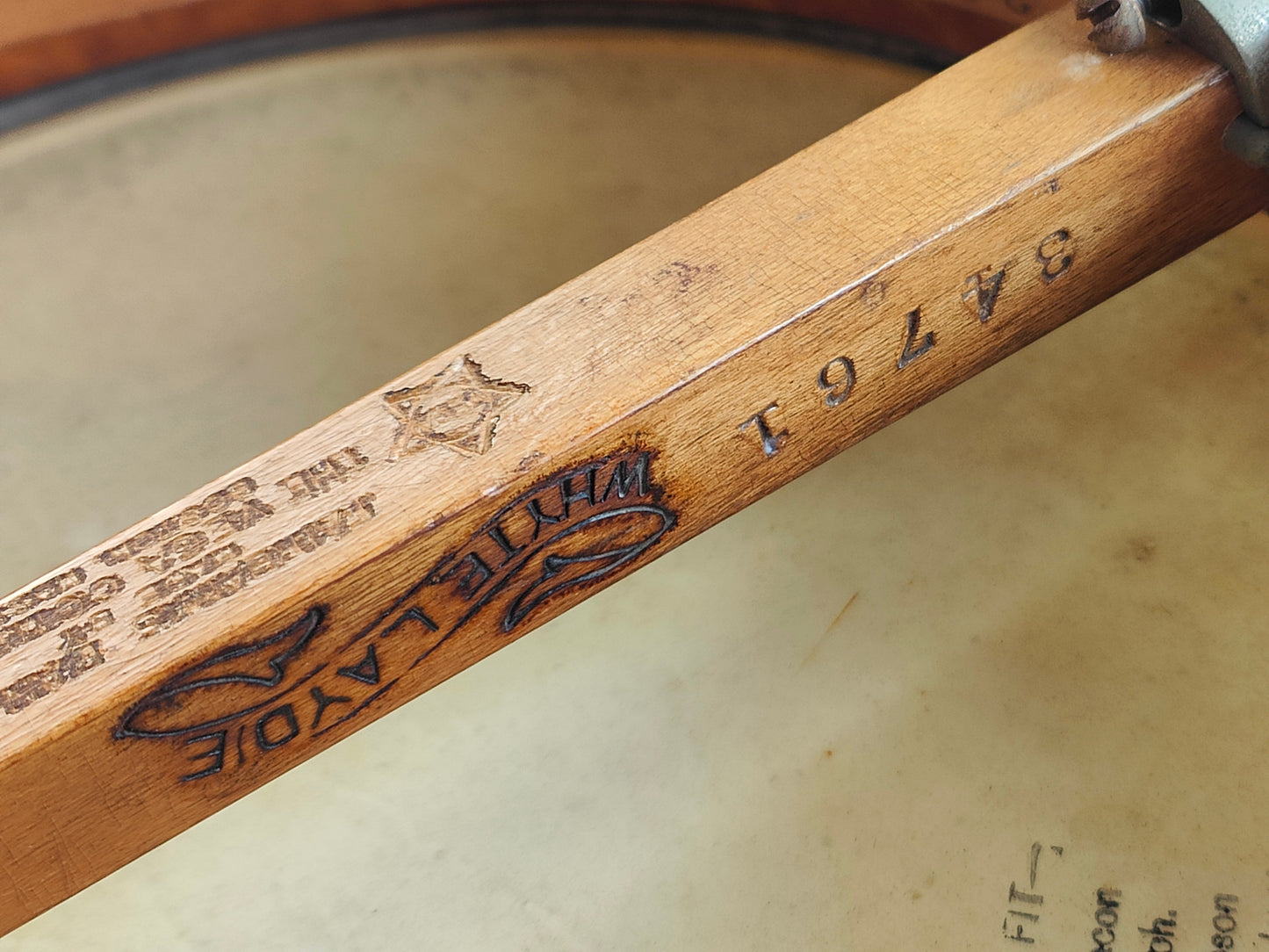 1920 Vega "Whyte Laydie" Open Back 5-String Banjo