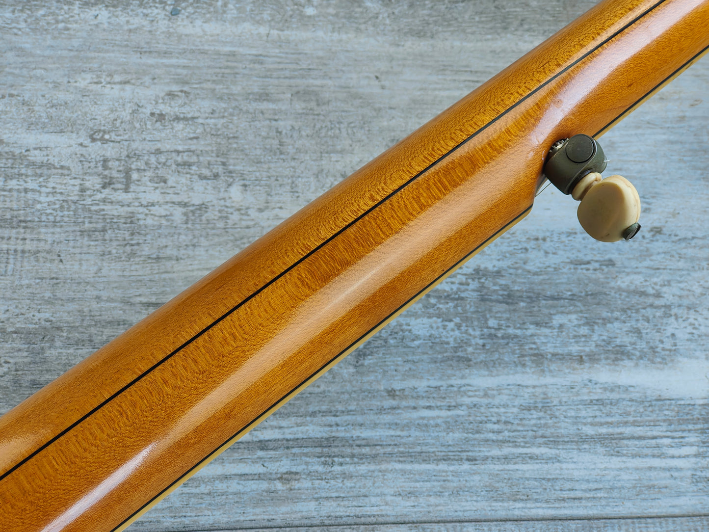 1920 Vega "Whyte Laydie" Open Back 5-String Banjo