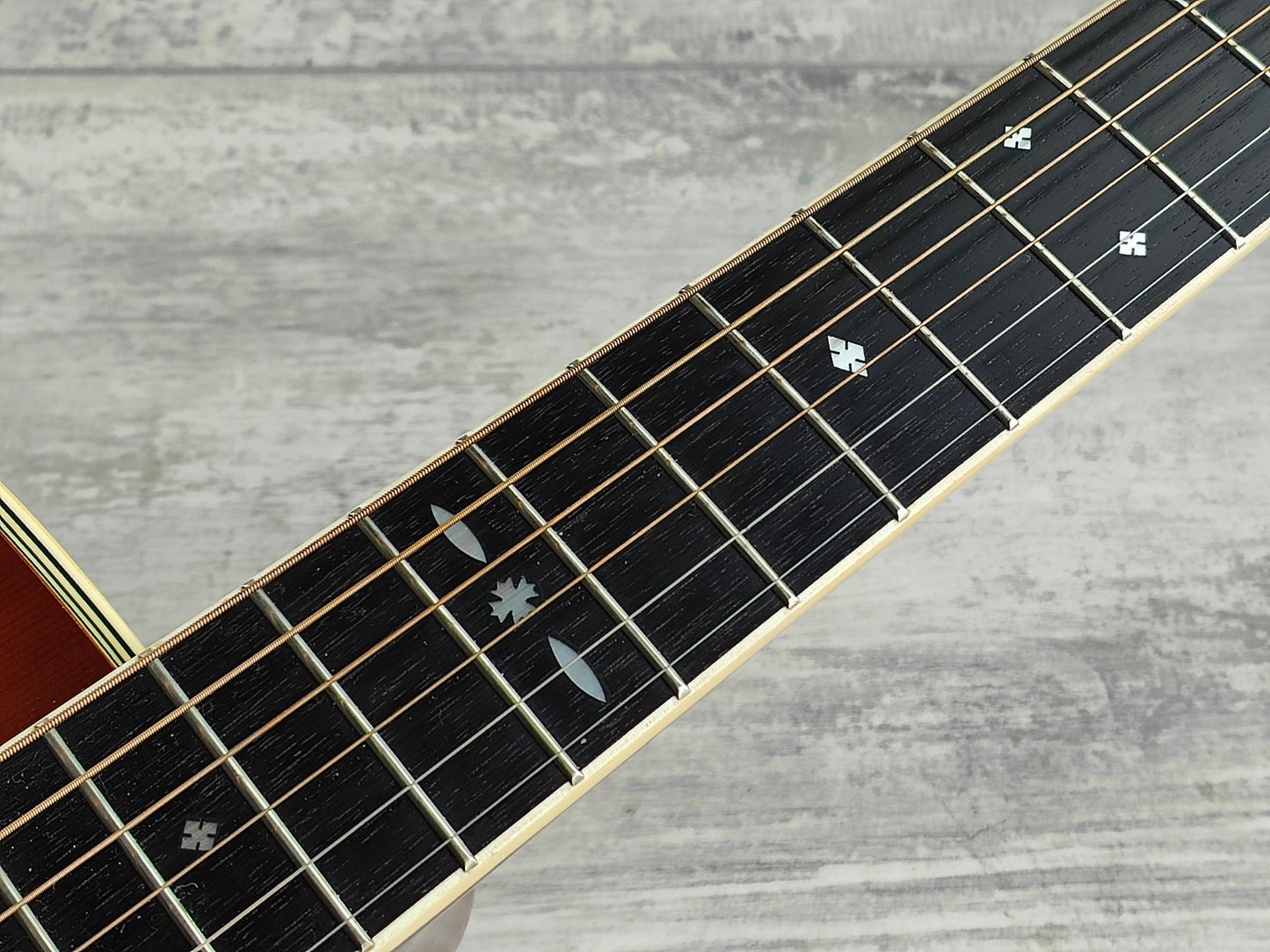 1980's Tokai Cat's Eyes CE-350 Japanese Vintage Acoustic Guitar (Sunburst)