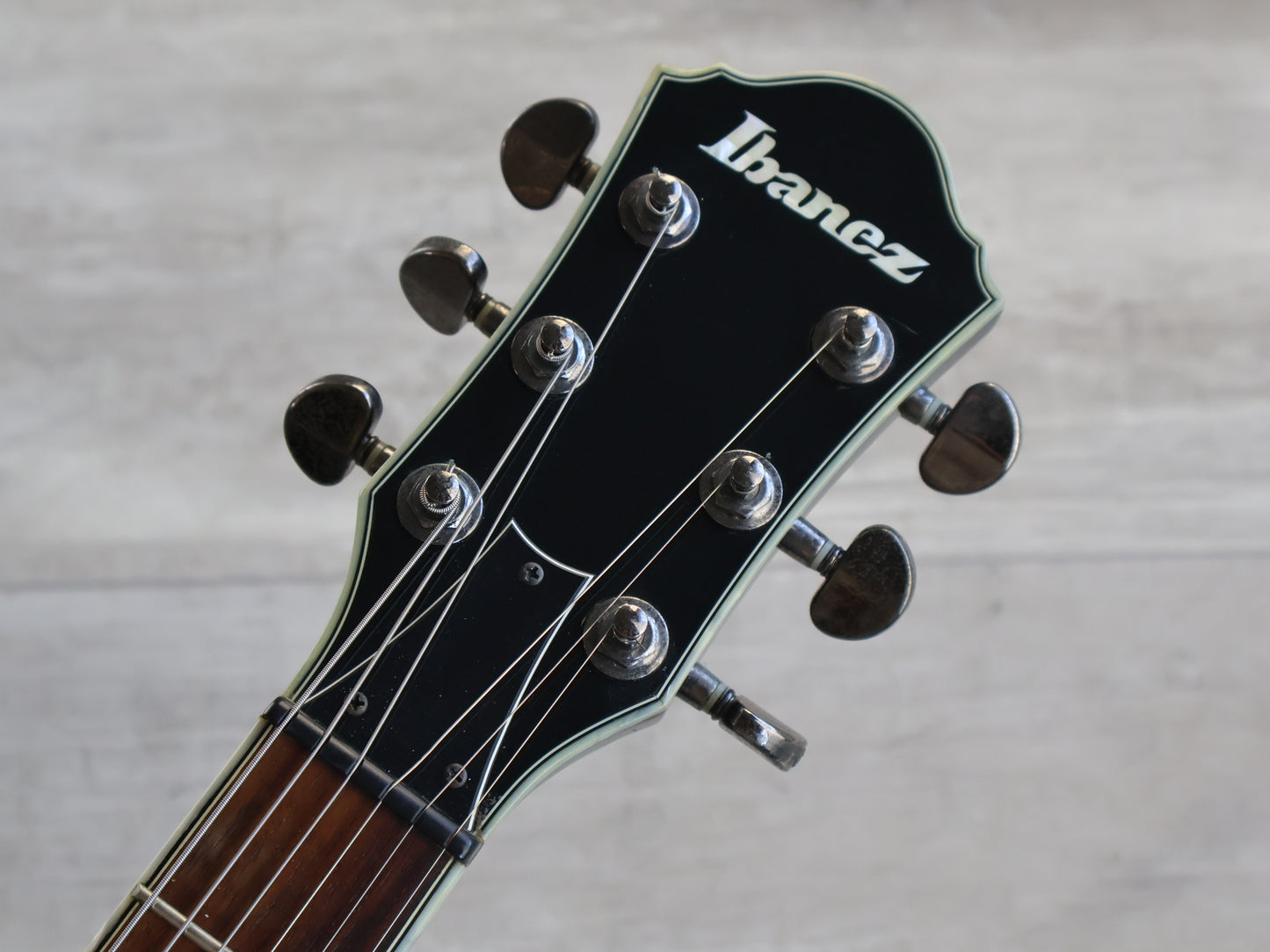 2010 Ibanez Darkstone DN500 (Black)
