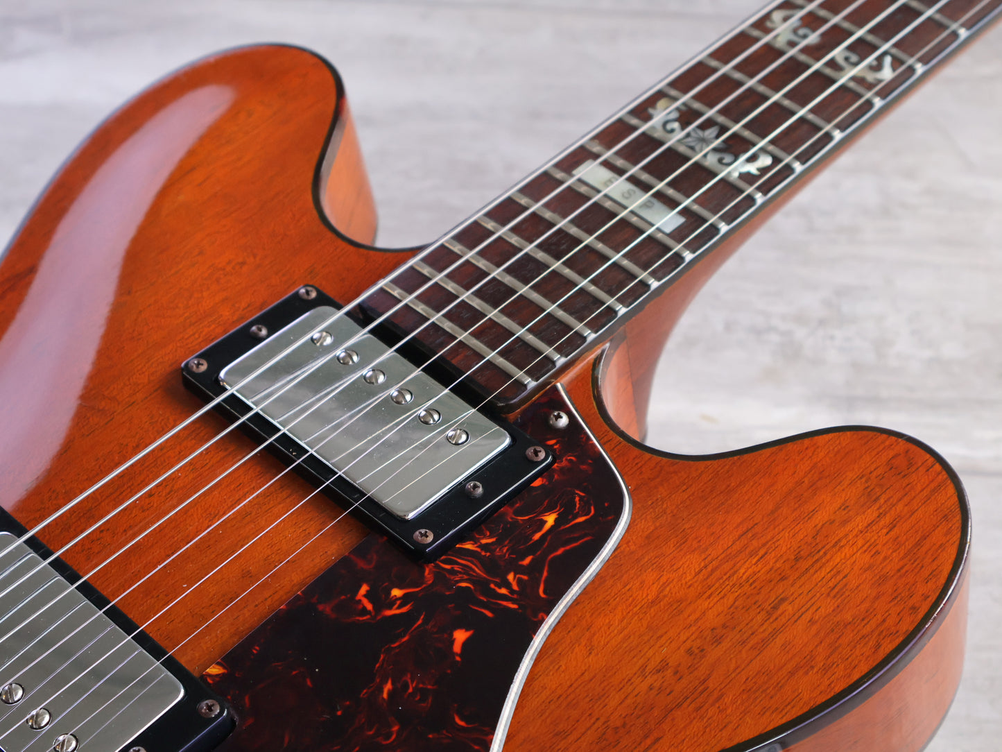 1970's ESP Japan Torrocco Semi Hollowbody (Mahogany)