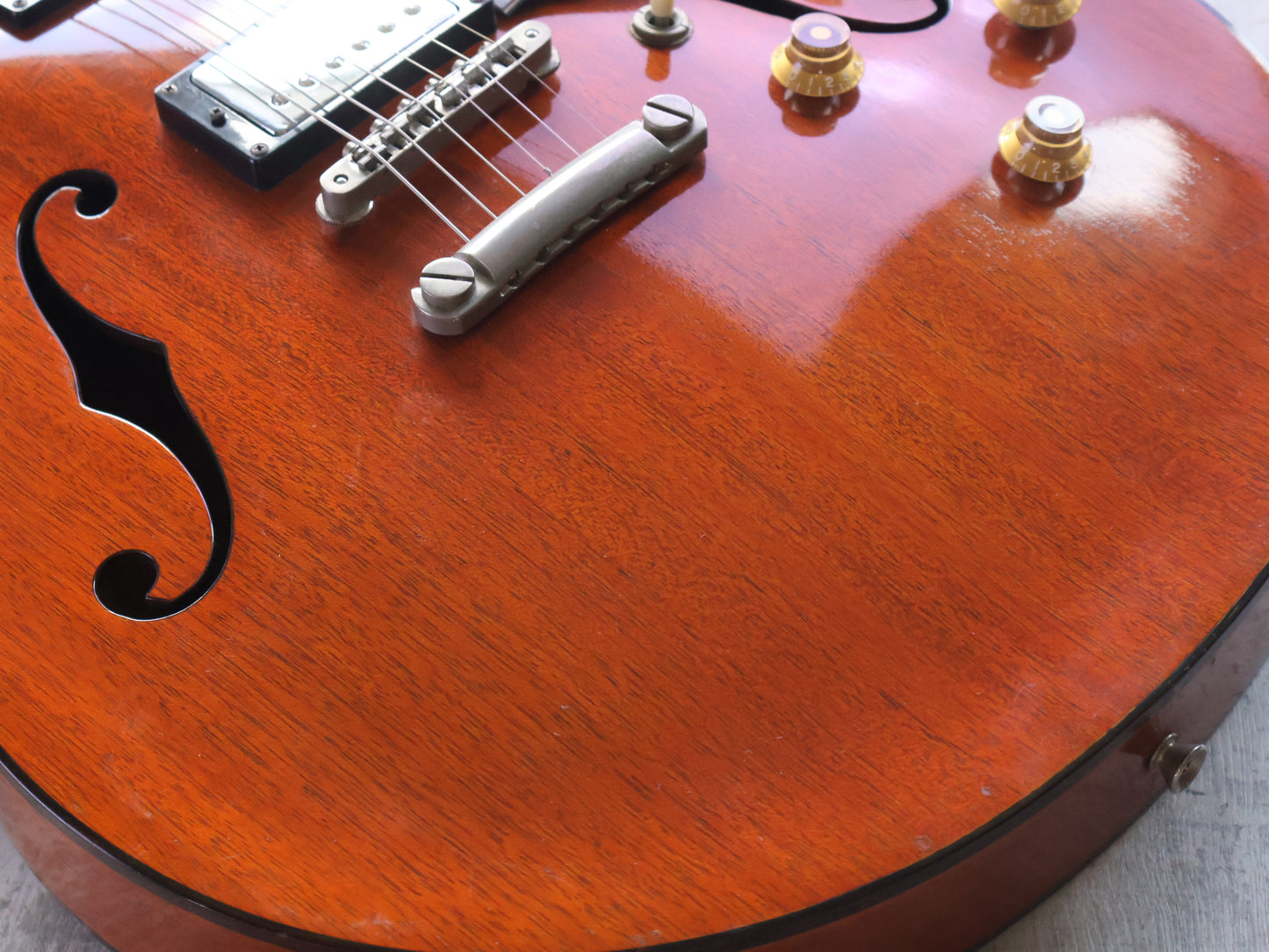 1970's ESP Japan Torrocco Semi Hollowbody (Mahogany)