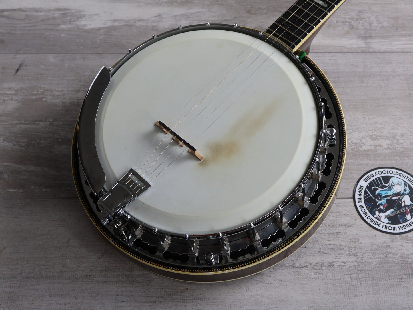 1980's Payton Japan 5-String Banjo